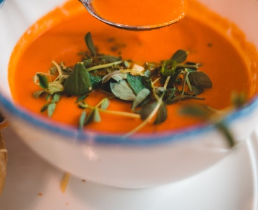 Salsa sousu